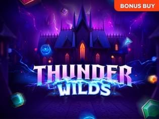 Thunder Wilds game thumbnail